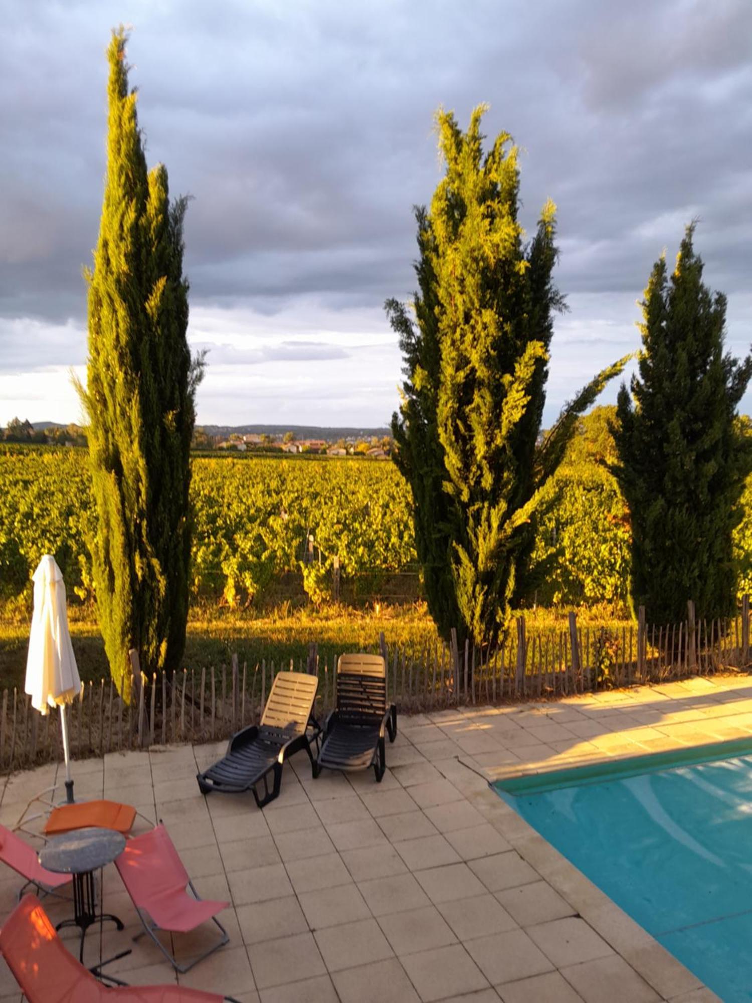 La Cote Des Blancs - Domaine Viticole & Maison D'Hotes Vinzelles Екстер'єр фото
