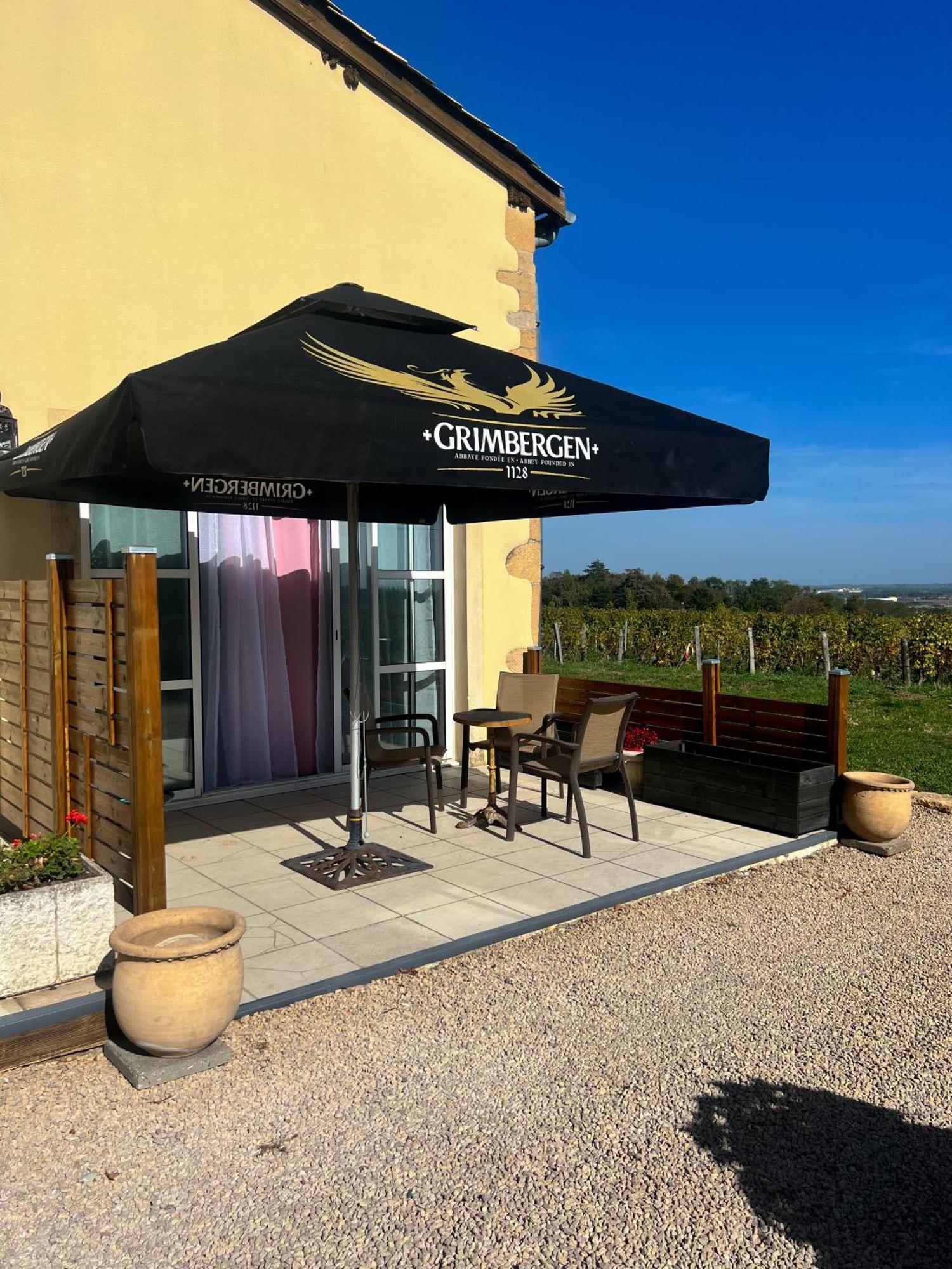 La Cote Des Blancs - Domaine Viticole & Maison D'Hotes Vinzelles Екстер'єр фото